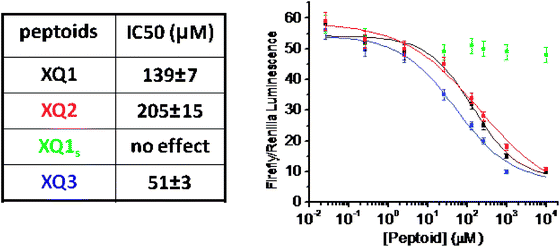 Dual-luciferase reporter assay to test the ability of the isolated peptoids to antagonize receptor function. OxR1-expressing HEK293 cells were co-transfected with an orexin-responsive firefly luciferase reporter plasmid p3CRE-Luc as well as an orexin-unresponsive Renilla luciferase reporter gene pRLuc. The cells were then treated with peptoid compounds in the range of 26 nM to 10 mM for half an hour followed by addition of 300 nM orexin A for another 6 hours. Activity of p3CRE-Luc was normalized to the activity of pRLuc transfection control and represented as relative luciferase activity in the ratio of Firefly–Renilla luminescence.