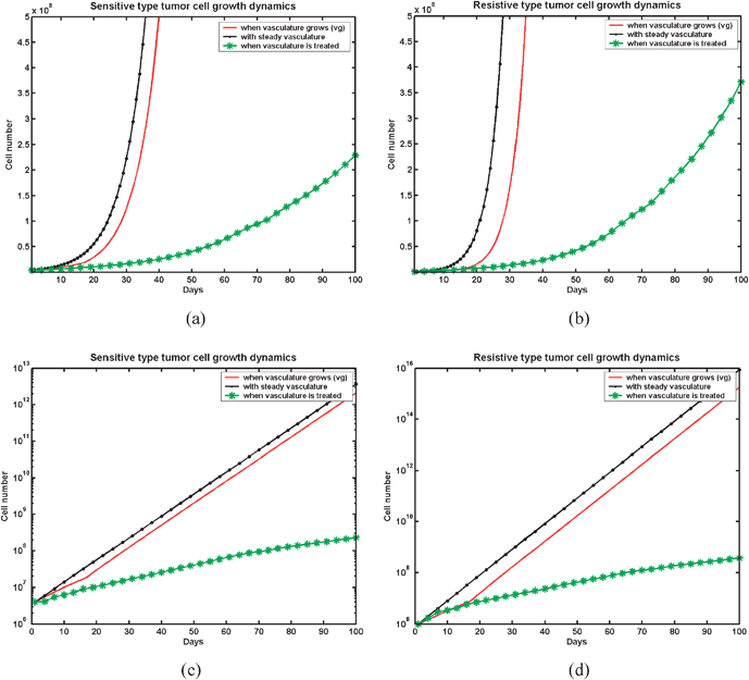 Role of micro-vasculature on tumour cell growth and its therapy—(a) sensitive type cell, and (b) resistive type cell. Slope denotes the change in doubling time of sensitive (c) and resistive type cell (d). In the plots, tumour cells are growing with a fixed doubling time of 5 (sensitive type of cells) and 3 (resistive type of cells) days [as shown ‘with steady vasculature’], a varying doubling time with fvv = 1.045 [as shown ‘when vasculature grows’] and a varying doubling time with fvv = 1.045 and ft = 0.25 [as shown ‘when vasculature is treated’].