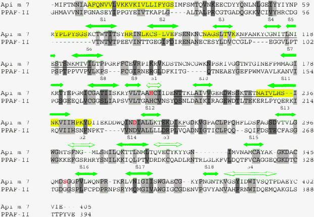 Amino acid sequences of the honeybee venom allergenic protease Api m 7 and the prophenoloxidase-activating factor (PPAF)-II.12 Identical residues are highlighted in gray and the conservative substitutions in dark gray. The predicted allergenic determinants are underlined, the antigenic sites are highlighted in yellow and the active-site residues are labelled in red.