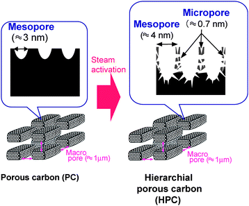 Fabrication scheme of deep mesopore on the surface of HPC by steam activation of PC with shallow mesopores.