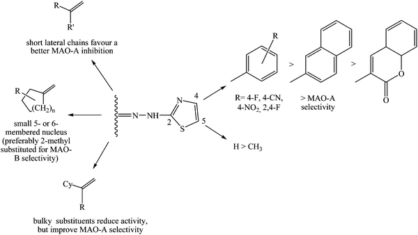 SAR studies of MAO inhibition by 2-thiazolylhydrazone scaffold.