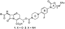 Cephalosporin-oxazolidinone conjugates.