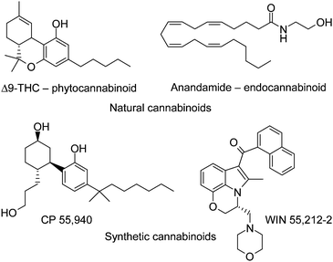 Naturally occurring and synthetic cannabinoid receptor agonists.