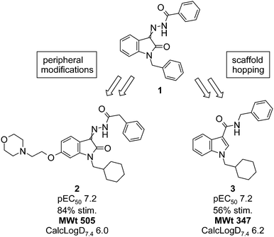 Comparison of peripheral and scaffold hopping approaches for hit optimization of compound 1.