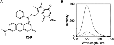 (A) Chemical structure of IQ-R. (B) Fluorescence spectra of IQ-R after enzymatic reduction: IQ-R (10 μM) was incubated with NADPH:cytochrome P450 reductase (20 μg mL−1) and β-NADPH (2 mM) at 37 °C in phosphate buffer (pH 7.4); incubated for 30 min under hypoxic conditions (); incubated for 30 min under aerobic conditions (); and before incubation (⋯). The fluorescence spectra were measured with excitation at 485 nm.