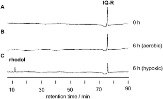 HPLC profiles of IQ-R (100 μM) upon treatment with NADPH:cytochrome P450 reductase (10 μg mL−1) in the presence of β-NADPH (0.2 mM) at 37 °C for 0 h (A) and 6 h under aerobic (B) or hypoxic (C) conditions. The elution peaks were monitored at 315 nm wavelength.