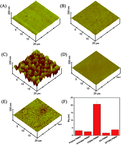 AFM topographic images (20 μm × 20 μm). (A) Pristine PMMA; (B) aminated-PMMA; (C) PGMA–PMMA; (D) GA–PMMA; (E) GPTMS–glass; (F) roughness comparison of each surface.
