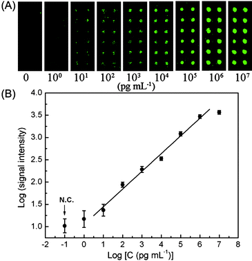 Microarray sandwich immunoassay on PGMA–PMMA for HBsAg detection in human serum. (A) Fluorescence images of protein microarrays exposed to different concentrations of HBsAg; (B) dose–response curve of HBsAg detection in human serum.