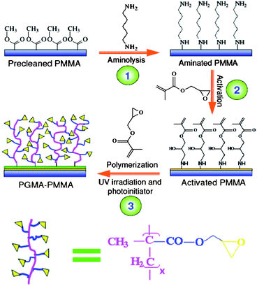 Preparation of PGMA–PMMA substrate. The dimension in the scheme is not drawn to scale.