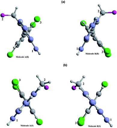 Views for A and B molecules respectively in the (a) R-isomer and (b) S-isomer, viewed along the C(5′)–C(1) chiral axis and showing the absolute configurations. The ring planes are viewed edge-on and the interplane torsion is determined by C(2)–C(1)–C(5′)–C(4′).