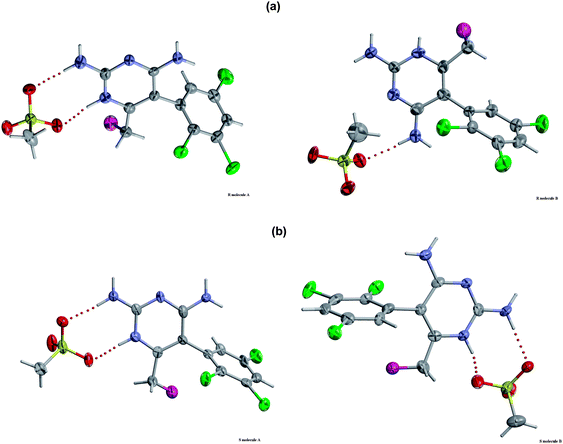 Local H-bonded contacts between cationic molecules A and B and their corresponding mesylate (CH3SO3−) anions in the crystal structures for (a) the R-form and (b) the S-form.