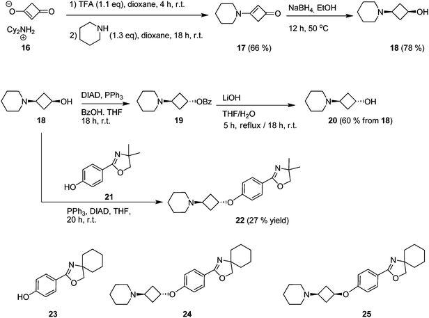 Synthetic routes to cis- and trans-3-piperidino-cyclobutanols 18 and 20 and to compounds 22, 24 and 25.