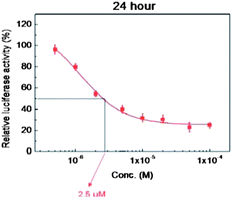 Dose-dependent effect of I on STAT3 activity after incubation for 24 h.