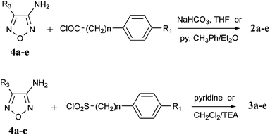 Synthesis of compounds 2 and 3.