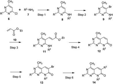 General synthetic route for the MPP derivatives. Conditions: step 1) R2–NH2, DIEA, K2CO3, DMAC; step 2) NBS, CHCl3; step 3) ethyl acrylate, tri-o-tolylphosphine, palladium(ii) acetate, Et3N; step 4) 1,8-diazabicyclo[5,4,0]undec-7-ene, potassium tert-butoxide, DMA; step 5) NBS, DMF; step 6) boronic acid, K2CO3, Pd(PPh3)2Cl2, DMF–water.