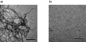 TEM analysis of the prevention of Aβ42 fibril formation by 1. Small aliquots (10 μL) were applied to a grid for TEM analysis. a) Aβ42 monomer (5.0 μM) was incubated in 10% DMF–Tris-HCl buffer (pH 8.0, 20 mM) at 25 °C for 7 days in the absence of 1. b) Aβ42 monomer (5.0 μM) was incubated in 10% DMF–Tris-HCl buffer (pH 8.0, 20 mM) at 25 °C for 2 h in the presence of 1 (50 μM) under irradiation with a UV lamp (365 nm, 100 W) placed at 10 cm from the sample, and then further incubated at 25 °C for 7 days. Images are shown relative to a calibration bar of 0.5 μm.