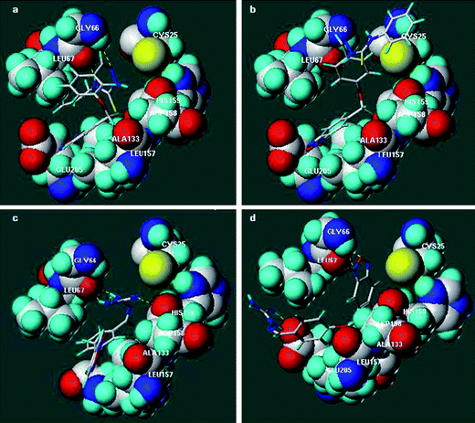 Position of some representative derivatives in the binding-cleft of CP determined by docking. a. CP–19. b. CP–16. c. CP–17. d. CP–4.