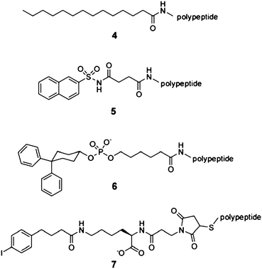 Chemical structures of albumin-binding small molecules. (4) Myristic acid,47 (5) naphthalene acylsulfonamide,49 (6) diphenylcyclohexanol phosphate ester,50 and (7) 6-(4-(4-iodophenyl) butanamido) hexanoate (‘Albu’-tag).51,52
