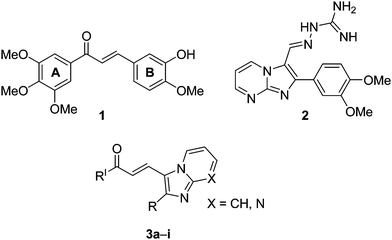 Structures of trimethoxychalcone (1), imidazopyrimidine guanyl hydrazones (2), imidazo pyridine/pyrimidine-chalcone derivatives (3).