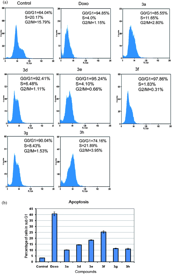 
              (a) FACS analysis of cell cycle distribution of MCF-7 cells after treatment with compounds 3a and 3d–h at 4 μM concentration for 24 h. Doxorubicin (Doxo) was used as positive control. (b) The histogram depicting the percentage of cells in sub G1 phase, an indicator of percentage of apoptosis for the chalcone derivatives (3a and 3d–h).