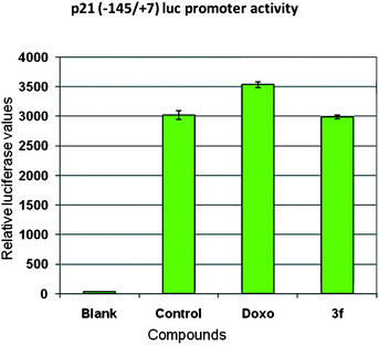 Effect of compound 3f and doxorubicin (Doxo) on the P21 promoter activity. The MCF-7 cells were transiently transfected with p21 (−145/+7) promoter with luciferase gene cloned downstream of the p21 promoter and after 24 h the compound treatments were carried out at 4 μM concentration for 24 h. Cell lysates were isolated and luciferase activity was observed and is the indicator of promoter activity.