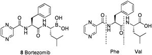 Structure of bortezomib in comparison with the corresponding α-amino acid dipeptide (for illustrative purposes only).