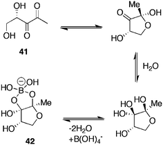 AI-2 equilibrium forms and complexation with boric acid.