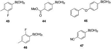 Boronic acid inhibitors of bacterial quorum sensing.