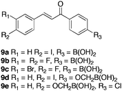 Boronic-chalcone analogues designed to target breast cancer.