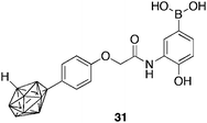 Structure of carboranylphenoxyacetanilide HIF-1α inhibitor 31.
