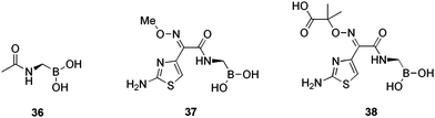 Structure of boronic acid transition state β-lactamase inhibitor probes.