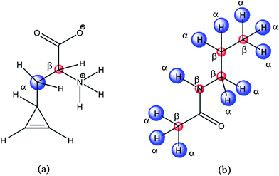 Anchoring points in a pseudo molecular probe (a) and a linker (b).