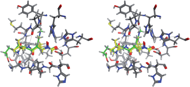 Comparison of the binding modes of the X-ray ligand and the novel molecule shown in Fig. 6(a) at the binding site of 1GKC.