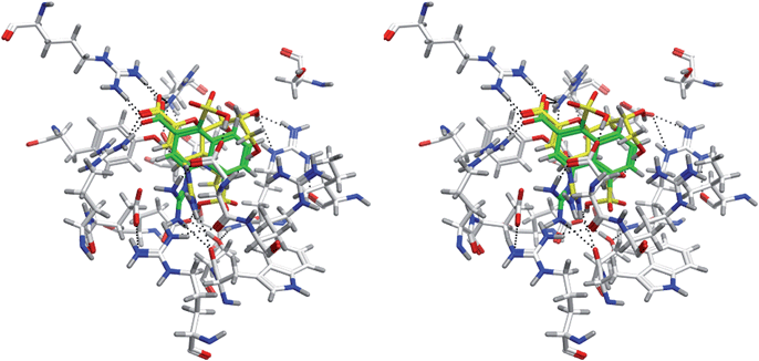 Comparison of the binding modes of zanamivir and the novel molecule shown in Fig. 6(b) at the binding site of 3B7E.