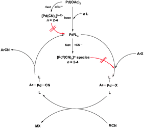 Proposed mechanism of the Pd-catalysed cyanation reaction50,51