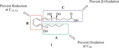 Targeted domains for modifications of the native Lipoxin A41.
