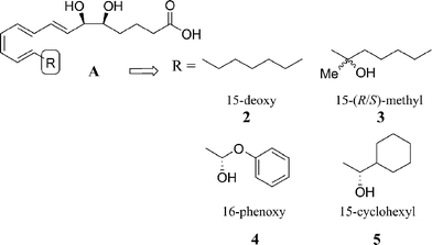 Design of C15–20 stable analogues.23