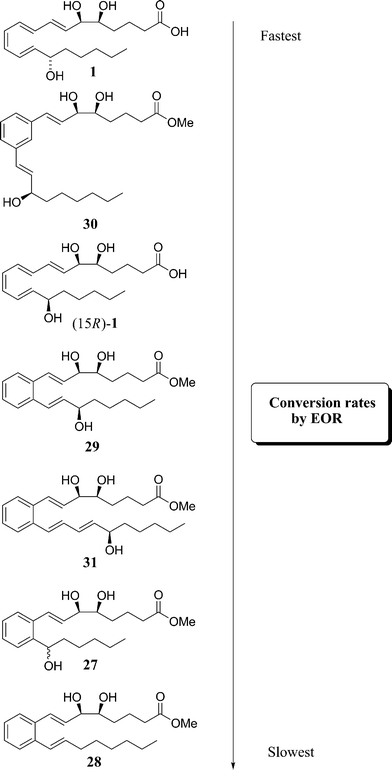 Enzymatic metabolism by eicosanoid oxido-reductase.20