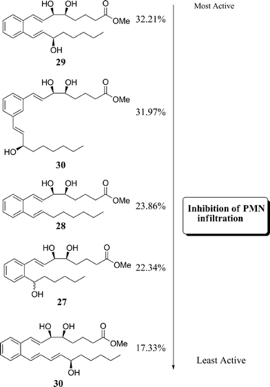 Activity of stable analogues to inhibit PMN infiltration in vivo.20