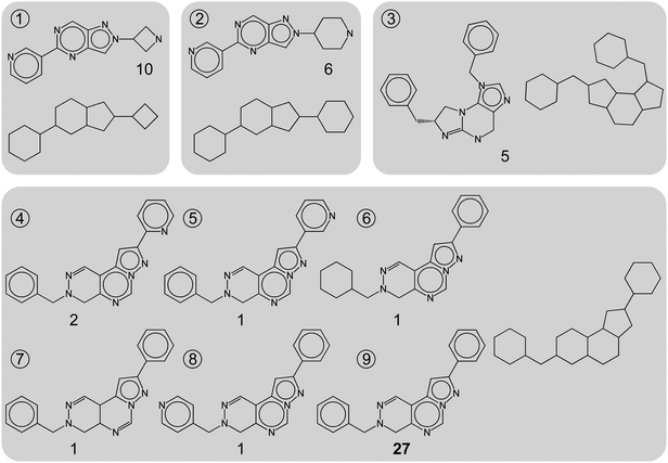 Topologically distinct scaffolds. Nine representative scaffolds extracted from phosphodiesterase 5A inhibitors are shown. For each scaffold, the corresponding carbon skeleton (CSK) is shown and the number of compounds each scaffold represents is reported. Scaffolds 1 to 3 yield distinct CSKs, whereas scaffolds 4 to 9 share the same CSK. Scaffold 9 is selected for further analysis because it represents the largest number of compounds (i.e., 27), and the other five scaffolds are not further considered. This selection scheme ensures that only topologically distinct scaffolds are analyzed.