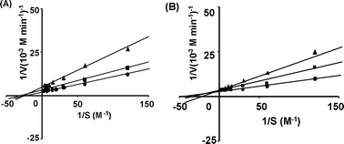 Lineweaver–Burk plots of Cu ions (A) and Zn ions (B). Sucrose was used as the substrate. The enzyme used was yeast α-glucosidase (5 units ml−1). The symbols represent the following values: ●, IC0; ■, IC50; and ▲, IC75.