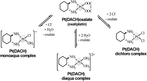Hydrolisis of oxaliplatin.