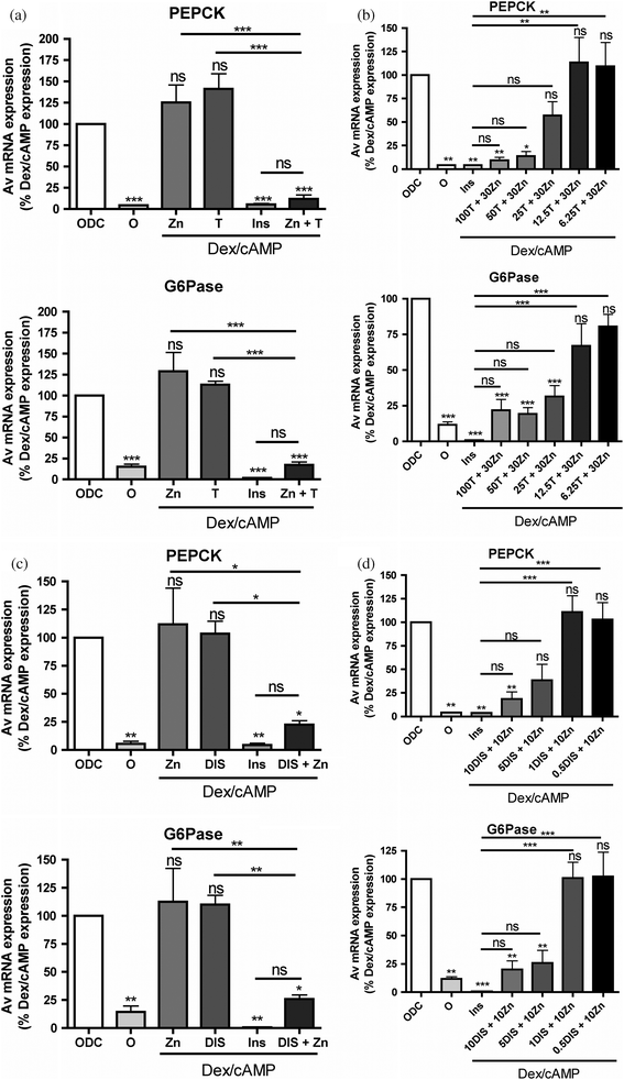 
            Zinc dependent regulation of gluconeogenic genes by zinc-binding compounds. (a) Serum starved HL1c cells were treated with (0DC) and without (0) 200 nM dexamethasone and 100 μM 8-CPT-cAMP for 4 h. The effects of 10 nM insulin (Ins) 20 μM zinc (Zn), 100 μM β-thujaplicin (T) or combinations of these agents on dexamethasone/cAMP-induced gene expression was determined in PEPCK expression (top panel) and G6Pase expression (bottom panel). (b) The dose response of PEPCK expression (top panel) and G6Pase expression (bottom panel) to β-thujaplicin treatment (c) same as (a) except that 10 μM disulfiram (DIS) is used in place of β-thujaplicin and 10 μM zinc acetate was used. (d) Same as (b) except that disulfiram replaces β-thujaplicin. Each bar consists of at least three separate determinations performed in triplicate. Errors are S.E.M. ‘ns’ above a column indicates not significant with respect to 0DC, asterisks above column indicates significant change with respect to 0DC (*** means p < 0.001, ** is p < 0.01, * is p < 0.05). The significance of other column to column differences are presented above a horizontal line that identifies the two columns.