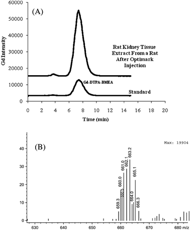 (A) HPLC-ICP-OES chromatogram from a rat kidney tissue (Rat Kidney 2) extract after a single intravenous injection of 5 mmol/kg Optimark injection and a Optimark standard (seeTable 1for separation conditions) (B) Mass spectra extracted at the retention time of the (A) peak.
