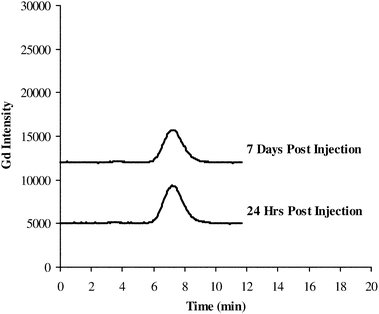 HPLC-ICP-OES chromatograms from rat kidney tissue extracts (Rat Kidney 9 and Rat Kidney 18) after a single intravenous injection of 5 mmol/kg Optimark injection (seeTable 1for separation conditions).