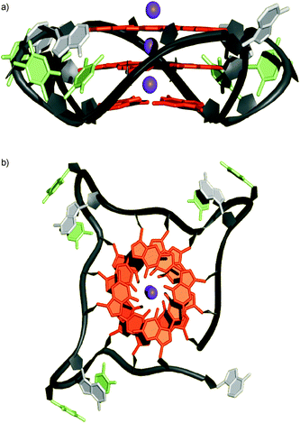 Structure of the intramolecular guanine quadruplex from the human telomeric sequence d[AGGG(TTAGGG)3] in the presence of K+ ions as determined by single crystal X-ray diffraction analysis.49 Guanine residues are shown in orange, adenine and thymine residues in grey and green, respectively. The localization of the K+ ions (purple) in-between neighbouring nucleobase tetrads can clearly be discerned. View (a) perpendicular to, and (b) along the internally aligned cations. Coordinates taken from PDB code 1KF1.49