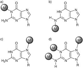 Various nucleobase binding patterns are possible, leading to altered pKa values as a result of metal complexation (here: nucleobase = guanine): The metal complex (a) replaces an endocyclic imino proton,110 (b) replaces an exocyclic amino proton,112 (c) coordinates to a neutral base,113 or (d) occupies several of these positions.114