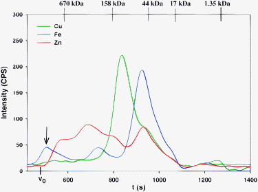 Representative simultaneous Cu, Fe and Zn-specific chromatogram of rabbit plasma on a Superdex Peptide 10/300 GL (30 × 1.0 cm I.D., 13 μm particle size) SEC column at 22 °C using 0.1 M Hepes-buffer (pH 7.4) as the mobile phase. Flow-rate 1.0 mL min−1, Injection volume: 500 μL, Detector: ICP-AES at 324.754 nm (Cu), 259.940 nm (Fe) and 213.856 nm (Zn). The retention times of the molecular weight markers are depicted on top of the figure.