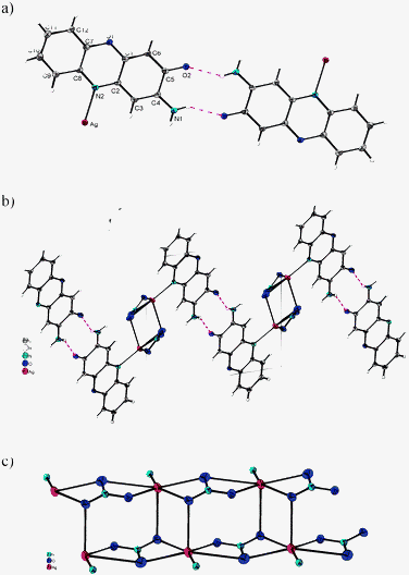 (a) Hydrogen-bonded dimeric Ag(i) complex of 2-aminophenoxazine-3-one, 3; (b) View of 3 showing AgNO3 chain running along [0 0 1], phenoxazinones are represented by their coordinating nitrogen atoms only; c) View of 3 showing hydrogen-bonded phenoxazinone moieties linked to sheets by the AgNO3 chains, view side-on onto the sheets along the chains. Thermal ellipsoids are drawn on the 50% probability level in all cases.
