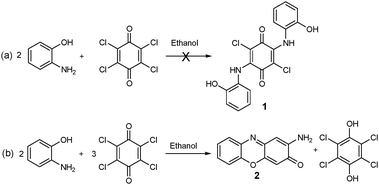 (a) Attempted synthesis of 2,5-bis(2-hydroxyphenylamino)-3,6-dichlorocyclohexa-2,5-diene-1,4-dione, 1; (b) synthesis of 2-aminophenoxazine-3-one, 2.